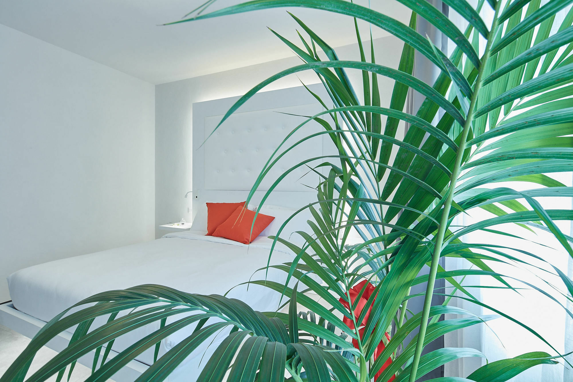B&B Via Roma 25 Arezzo Dış mekan fotoğraf